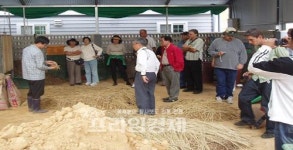 가족형 자연순환형 축산농장 각광