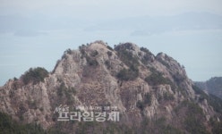 싱그런 5월, 가족과 함께 떠나자