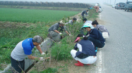 장수군, ‘아름다운 마을 가꾸기’ 지역주민 적극 동참