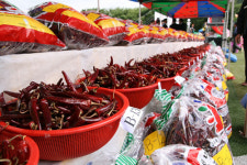 임실고추축제 11일부터 전주서