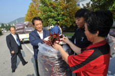 고추장은 순창고추로