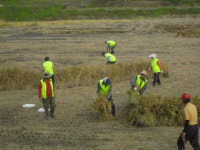 군산시,대야면, 햅쌀로 베푸는 온정의 손길