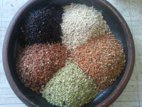 김제 지평선에서 생산되는 오색 쌀