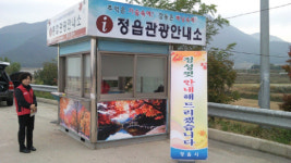 오색물감으로 물결치는 정읍으로 오세요.