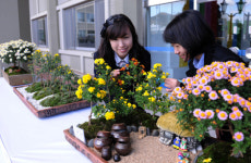 미항 여수, 국향향기로 가득