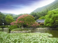 전남도, 진도 운림산방 국가문화재 신청