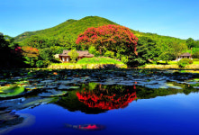 진도관광 사진 전국 공모전 금상 ‘운림산방’