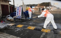 광산구, 구제역 방역에 올인