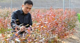 순창, 내년도 농림수산사업 예산 500억 신청