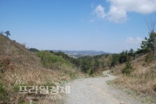 임피~대야~만경강을 잇는 푸른길 조성된다