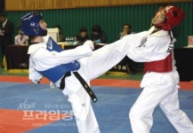 강진군, 제28회 전라남도협회장기 태권도대회 개최