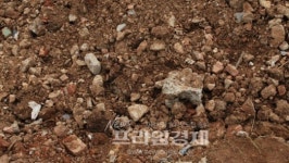 익산지방국토관리청 '도로건설 환경오염 방관' 논란