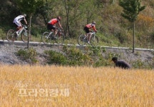가을 들판을 달리는 산악자전거