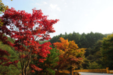 [포토] 지리산둘레길․구룡계곡 오색단풍 향연