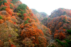 [포토] 지리산둘레길․구룡계곡 오색단풍 향연