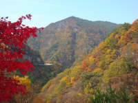 [포토] 지리산둘레길․구룡계곡 오색단풍 향연