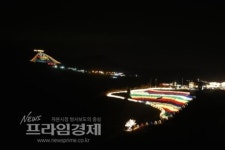 전남 보성군 차밭트리 해돋이 어떨까?