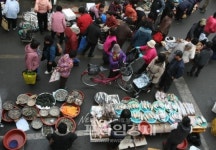 [포토] 설 준비에 붐비는 강진5일장