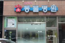 애견중성화 등 외과수술 전문 오산,수원,동탄 24시 ‘21세기동물병원’