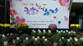 의왕시 오전동 1004나눔 국화향기축제…어르신들이 직접 키운 화분 전시