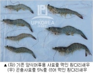 농촌진흥청, 곤충 이용 양식어류용 사료 개발