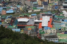 고흥군, 서민경제의 뿌리 ‘전통시장 활성화’ 팔 걷고 나서