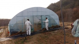 영광군 대마면 고병원성 AI 예방 총력 추진