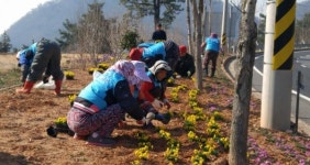 여수시 삼일동, 영취산 진달래축제 대비 손님맞이 ‘구슬땀’