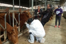 영주한우, 3종 세트 컨설팅으로 승부한다