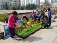 구리시 수택3동 주민과 함께 꽃이 피는 거리환경개선