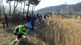 학산면 독천초등학교 동문청년회원 및 공무원 등 80여명 참여