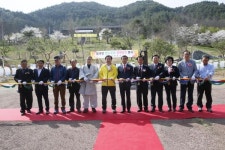 눈꽃처럼 아름다운 이순신 100리 벚꽃길