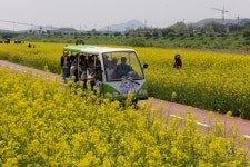 장성 홍길동 축제, ‘길동이와 함께하는 황룡강의 봄’