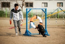 한국어질리티연합, 국내 최대 독스포츠 어질리티클럽 인 KPAC와 업무협약 체결