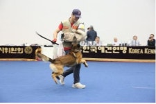 “반려동물의 모든 것이 한곳에 모인다”