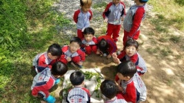 ‘숲이 좋아요！！’ 어린이 숲체험 놀이교실 인기