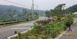 구항면, 깨끗하고 아름다운 농촌 만들기에 앞장