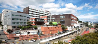 예수병원 의학박물관, 여름방학과 휴가 시즌 동안 관람객 이어져