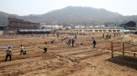 광명시, 친환경 시민주말농장 참여가족 모집