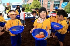 꽃 피는 봄에는 농심체험이 제격