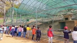 진도로 봄 나들이 오세요…진도개테마파크 새 단장