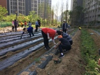 장수서창동 마을만들기사업, 장서운두레농장 운영