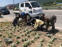 기관·사회단체장상조회 꽃길가꾸기 펼쳐