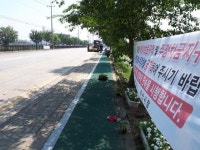 화사하고 시원한 특색 있는 여름꽃 길 조성