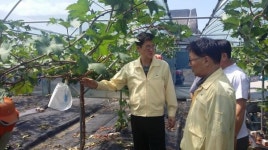 애타는 농심을 위해 무엇을 해야 하나?