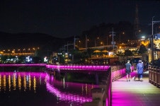[포토뉴스] 아름다운 의왕시 백운호수...생태탐방로 걸으며 힐링!