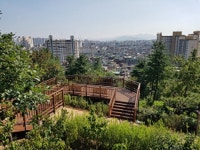 송파구, 천마근린공원 치유숲 조성사업 완료