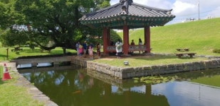 수도권 관광객 대상 광역투어버스 시작