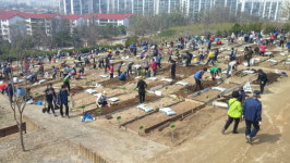 도봉구, 2019 친환경 나눔텃밭 분양 접수