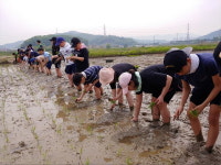 시흥시, 친환경 급식을 넘어 먹거리 소중함 교육까지